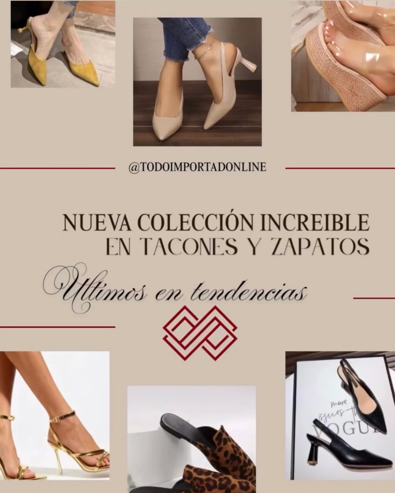 Zapatos y Tacones Nueva Colección